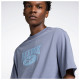 Reebok Unisex κοντομάνικη μπλούζα Classic Archive Essentials Big Logo Tee